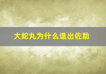 大蛇丸为什么退出佐助