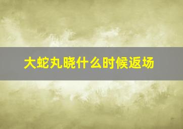 大蛇丸晓什么时候返场