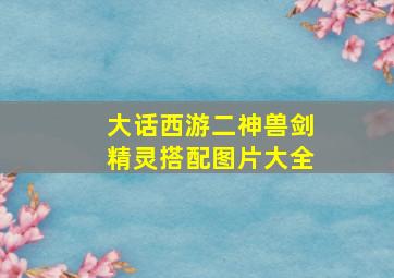 大话西游二神兽剑精灵搭配图片大全