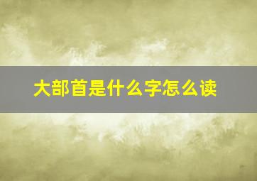 大部首是什么字怎么读