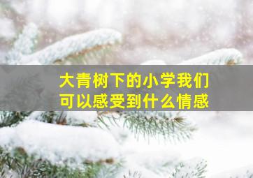 大青树下的小学我们可以感受到什么情感