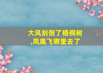 大风刮倒了梧桐树,凤凰飞哪里去了