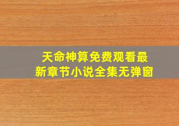 天命神算免费观看最新章节小说全集无弹窗