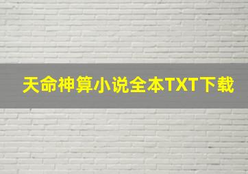 天命神算小说全本TXT下载