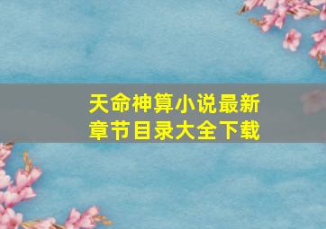 天命神算小说最新章节目录大全下载