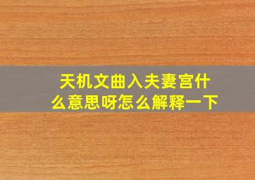 天机文曲入夫妻宫什么意思呀怎么解释一下