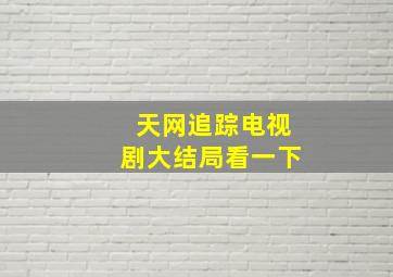 天网追踪电视剧大结局看一下