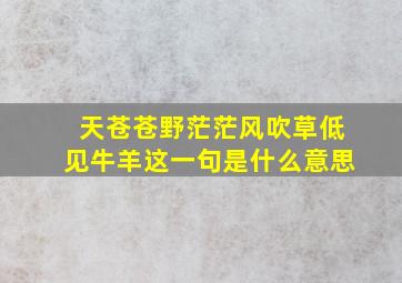 天苍苍野茫茫风吹草低见牛羊这一句是什么意思