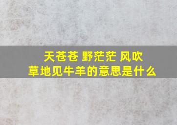 天苍苍 野茫茫 风吹草地见牛羊的意思是什么