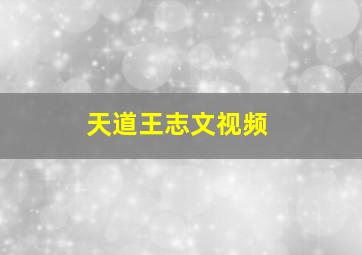 天道王志文视频