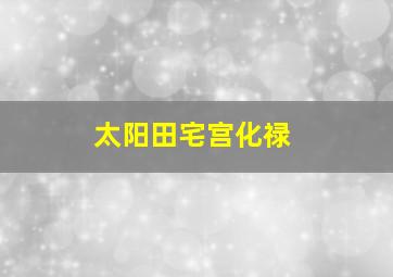 太阳田宅宫化禄