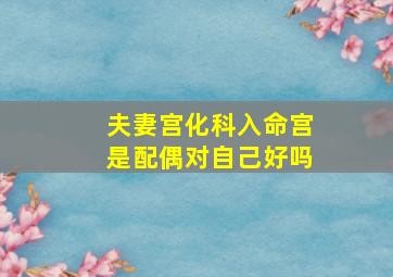 夫妻宫化科入命宫是配偶对自己好吗