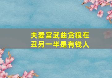 夫妻宫武曲贪狼在丑另一半是有钱人