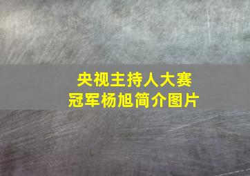 央视主持人大赛冠军杨旭简介图片