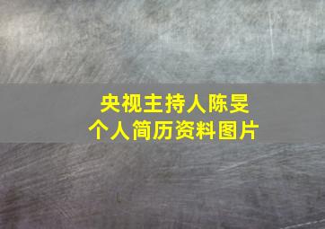 央视主持人陈旻个人简历资料图片