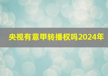 央视有意甲转播权吗2024年