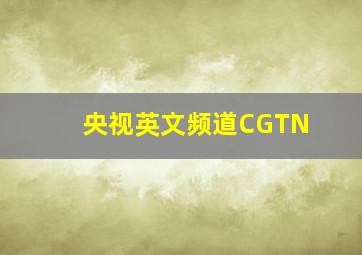 央视英文频道CGTN