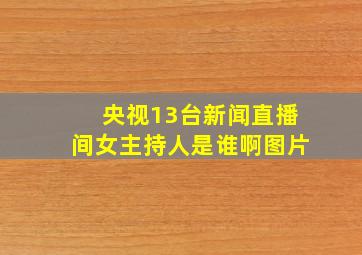 央视13台新闻直播间女主持人是谁啊图片