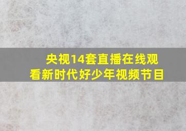 央视14套直播在线观看新时代好少年视频节目