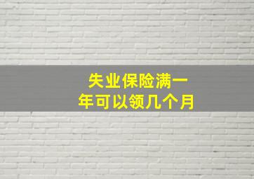 失业保险满一年可以领几个月