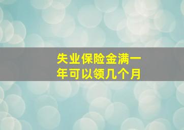 失业保险金满一年可以领几个月