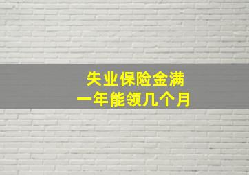 失业保险金满一年能领几个月