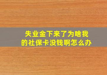 失业金下来了为啥我的社保卡没钱啊怎么办