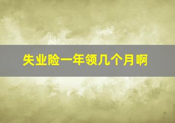 失业险一年领几个月啊