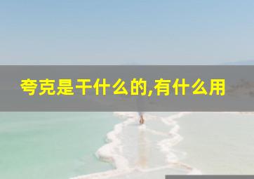 夸克是干什么的,有什么用