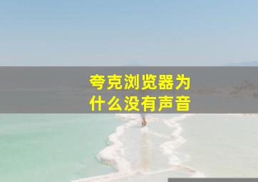 夸克浏览器为什么没有声音