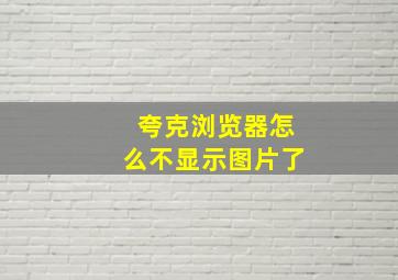 夸克浏览器怎么不显示图片了