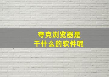 夸克浏览器是干什么的软件呢