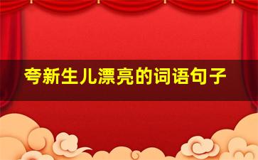 夸新生儿漂亮的词语句子