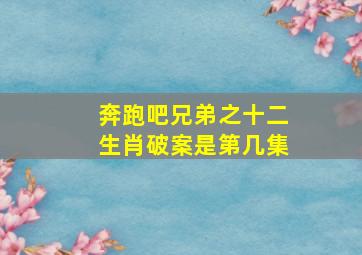 奔跑吧兄弟之十二生肖破案是第几集