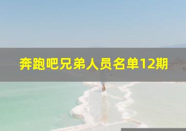 奔跑吧兄弟人员名单12期