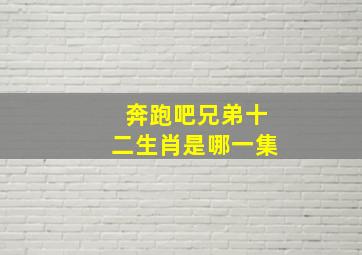 奔跑吧兄弟十二生肖是哪一集