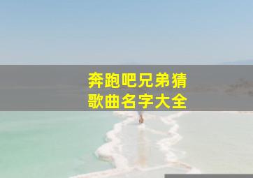 奔跑吧兄弟猜歌曲名字大全