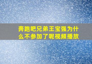 奔跑吧兄弟王宝强为什么不参加了呢视频播放