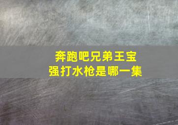 奔跑吧兄弟王宝强打水枪是哪一集