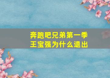 奔跑吧兄弟第一季王宝强为什么退出