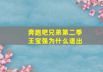 奔跑吧兄弟第二季王宝强为什么退出