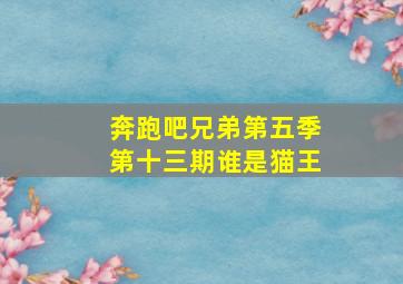 奔跑吧兄弟第五季第十三期谁是猫王