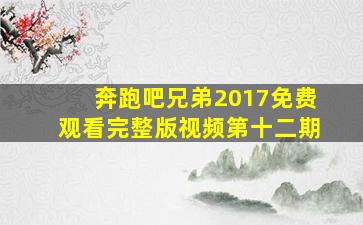 奔跑吧兄弟2017免费观看完整版视频第十二期