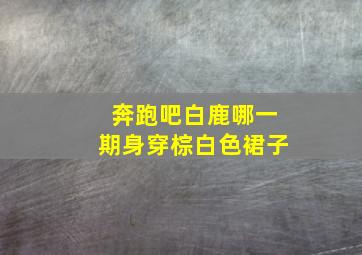 奔跑吧白鹿哪一期身穿棕白色裙子