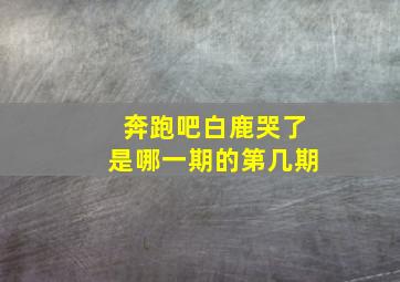 奔跑吧白鹿哭了是哪一期的第几期