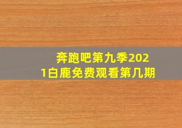 奔跑吧第九季2021白鹿免费观看第几期