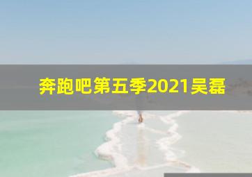 奔跑吧第五季2021吴磊