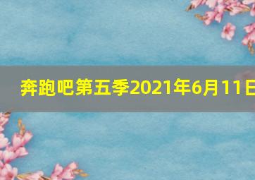 奔跑吧第五季2021年6月11日