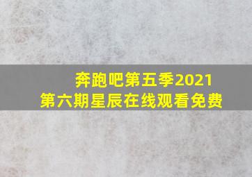 奔跑吧第五季2021第六期星辰在线观看免费