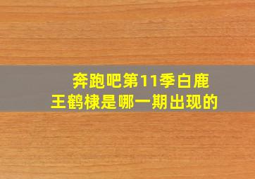 奔跑吧第11季白鹿王鹤棣是哪一期出现的